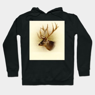 Deer portrait Hoodie